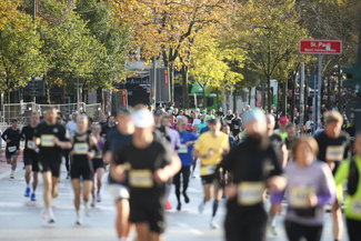 Hunde Lechisa