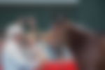 article-image