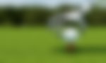AI+Golf