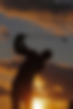Golfer silhouette