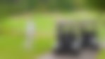 Golf Cart