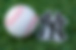 The Yankees