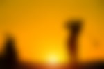 golfer silhouette
