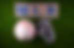 Chicago White Sox