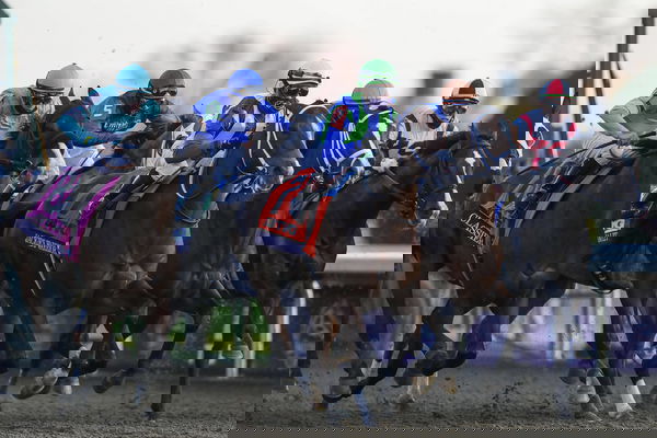 feature-image