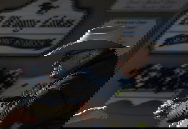 feature-image