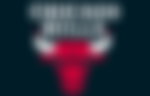 Logotype of Chicago Bulls basketball sports team