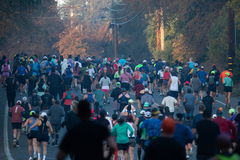 California International Marathon in Sacramento &#8211; 08 Dec 2024