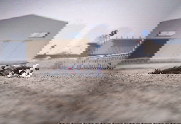feature-image