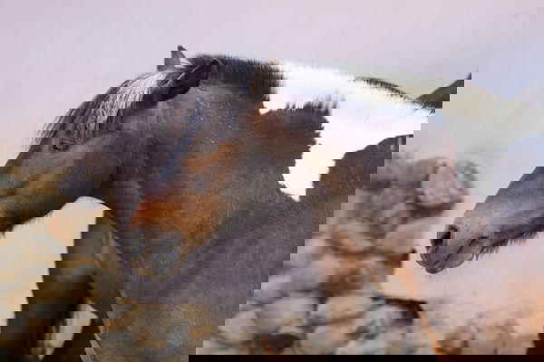 feature-image