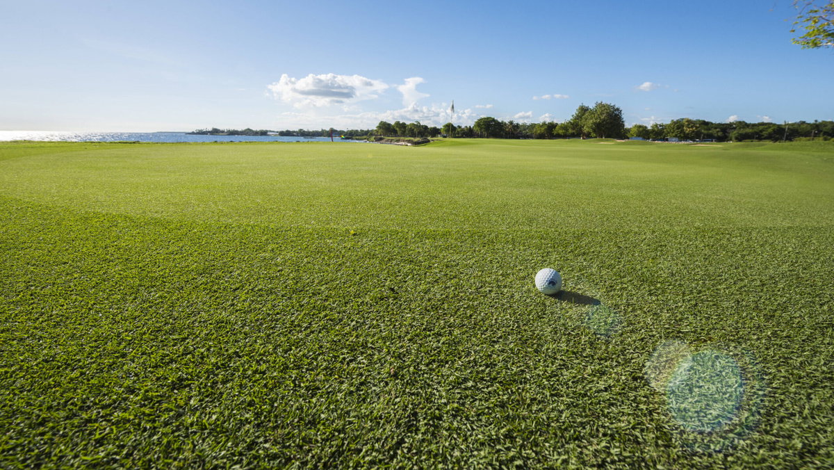 Over 30-Year-Old Public Golf Course Sacrificed for $10.5 Billion AI Data Center Project