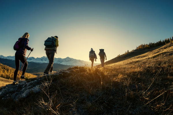 Group of young hikers walks in mountains at sunset time