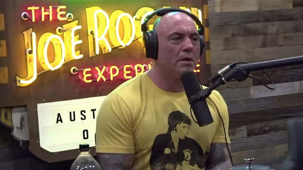 Joe Rogan on podcast