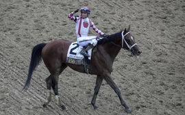 May 17, 2025, Baltimore, Md, USA: Journalism (2) ridden by Umberto Rispoli wins the Preakness Stakes (Grade 1) at Pimlic