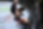 article-image