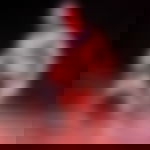 article-image