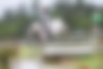 article-image