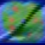article-image