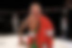article-image