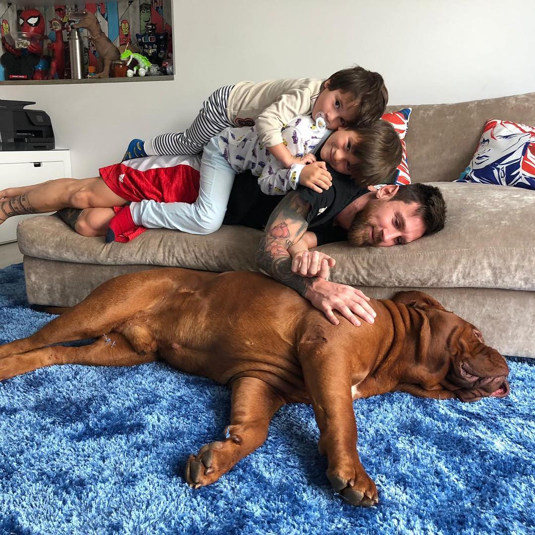 What Type of Dog Does Messi Have? Unveiling the Star's Pooch