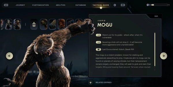 article-image