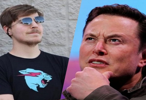 mrbeast-elon-musk-twitter