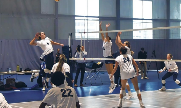 New pro volleyball federation aims to change the women's volleyball team  scene