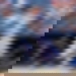 article-image