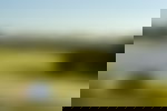 article-image
