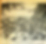 article-image