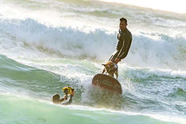 Surfer with dog