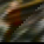 article-image