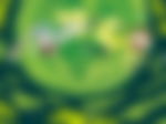 article-image