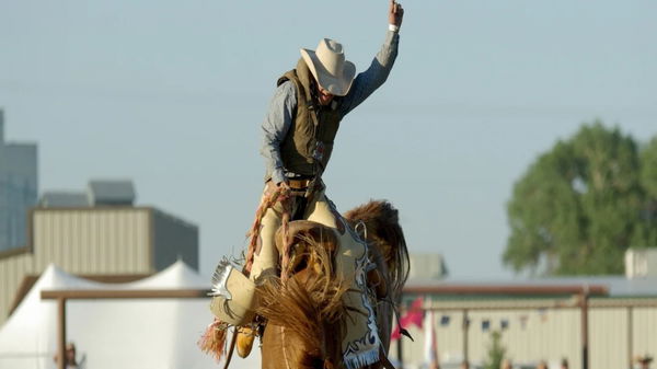 rodeo cowboy