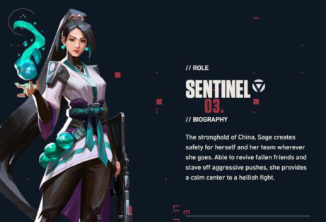 article-image