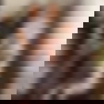 article-image