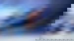 article-image