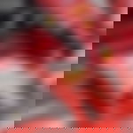 article-image