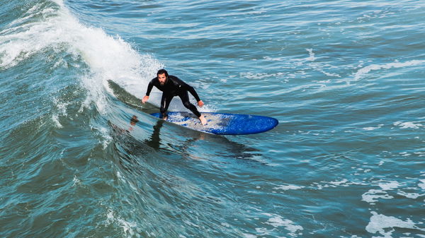 shark bite surfing