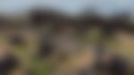 article-image