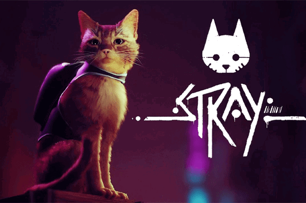 stray-game-fa56290