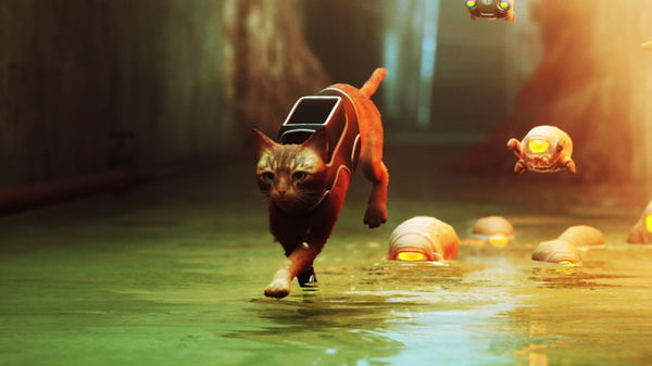 Cats War on Steam