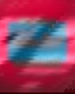 article-image