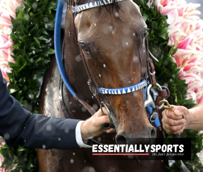 Kentucky Oaks Know All About Lilies For the Fillies That Adorned