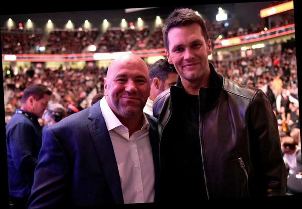 tom brady dana white