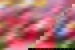 article-image