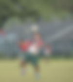 article-image