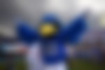 Image for Air Force Unleashes $10M Partnership With Longtime NFL Partner