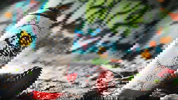 feature-image