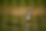 article-image